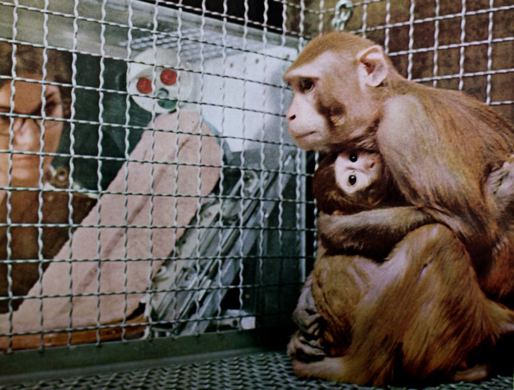 caged11