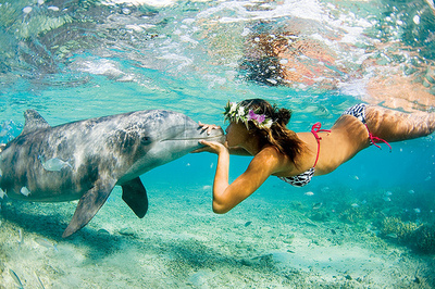 kiss