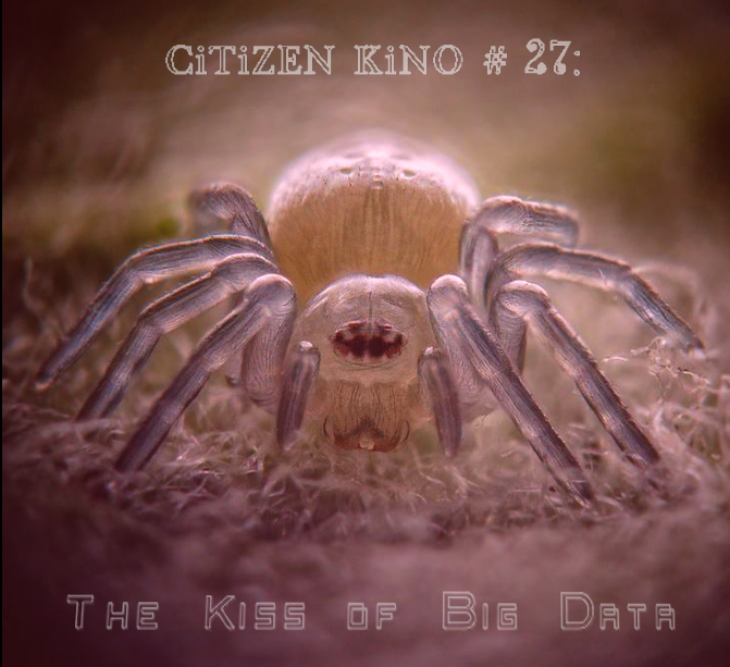 CK27_trans1