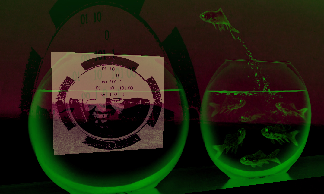 autoORgy1