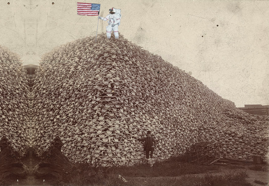 astro_bison1_ropinski