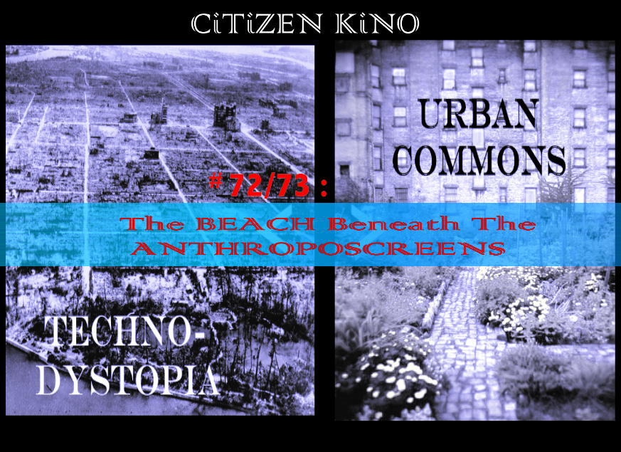 CK7273_xx1sm