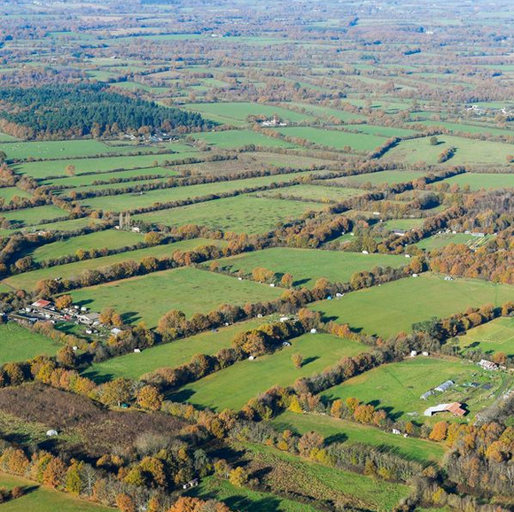 ZAD_land1