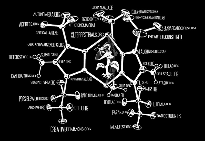 trans back web